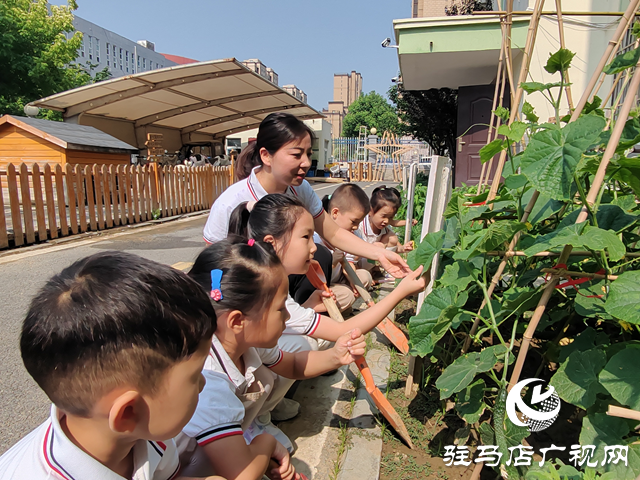 “育”見未來·名師風(fēng)采丨耿顯秋：以愛為舟 載夢(mèng)童行