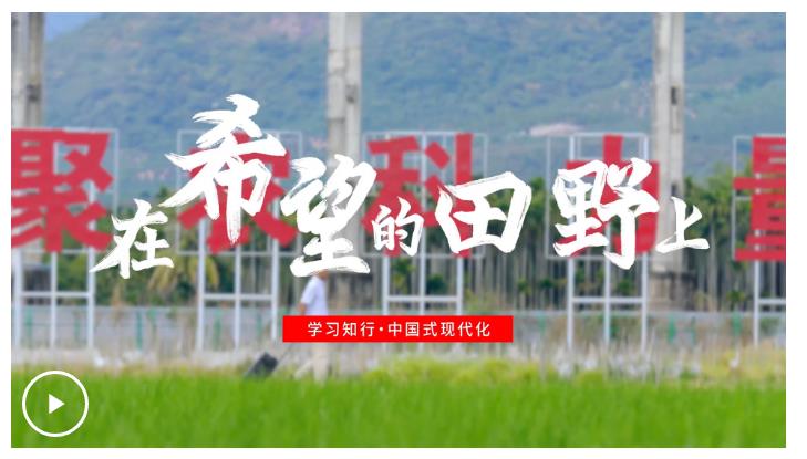 學(xué)習(xí)知行·中國式現(xiàn)代化丨在希望的田野上