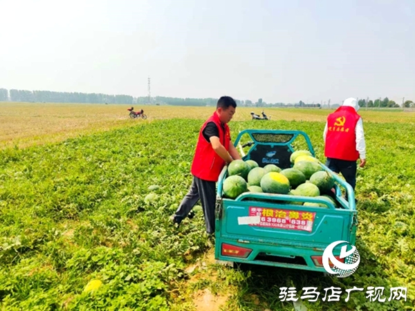 遂平縣車站街道：情系瓜農(nóng)解急難 愛(ài)心助銷人心暖