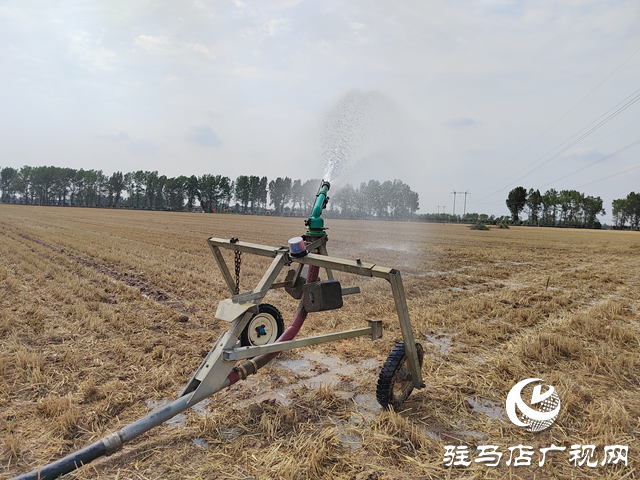 西平縣嫘祖鎮(zhèn)蘭衣趙村:抗旱造墑夏種忙 智慧灌溉護(hù)糧安