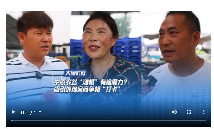 中原農(nóng)谷“灘桃”有啥魔力？ 吸引外地客商爭相“打卡”
