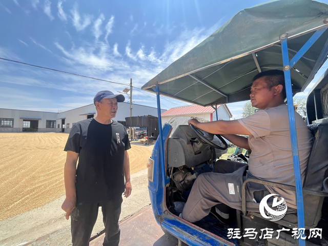 上蔡縣耕夫種植專業(yè)合作社：科技助力夏糧收購 顆粒歸倉助農(nóng)增收