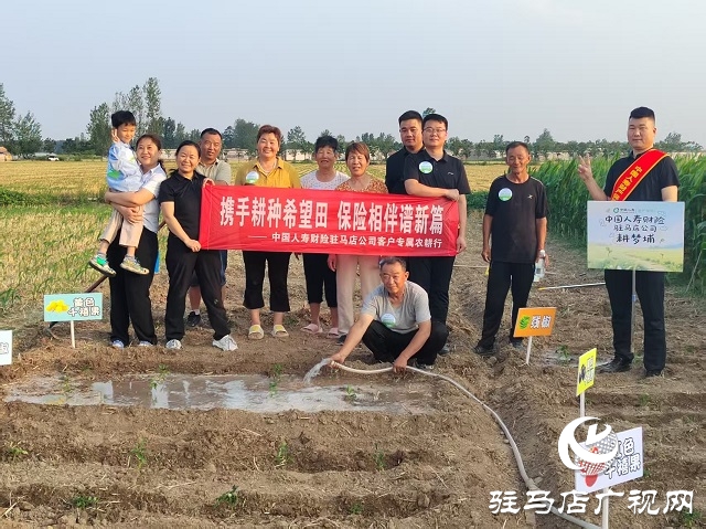中國人壽財險駐馬店公司:耕種希望土地  收獲保險情誼