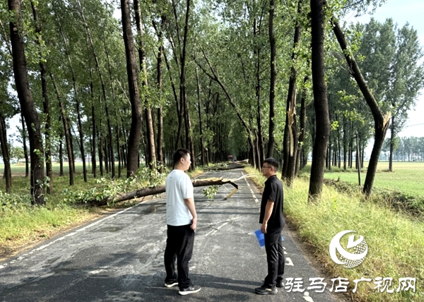 平輿縣：休息日響應“零延遲” 熱線聯(lián)動兩小時打通“梗阻路”