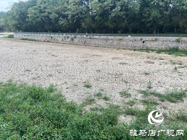 駐馬店市南海公園湖水干涸見底 記者實(shí)地探訪