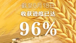 全國(guó)夏糧小麥大規(guī)模機(jī)收基本結(jié)束