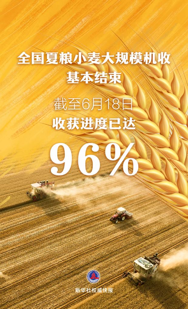 全國夏糧小麥大規(guī)模機收基本結(jié)束