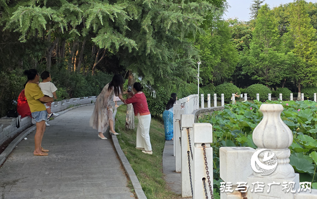 避暑首選！練江湖 置地公園為駐馬店市民送清涼