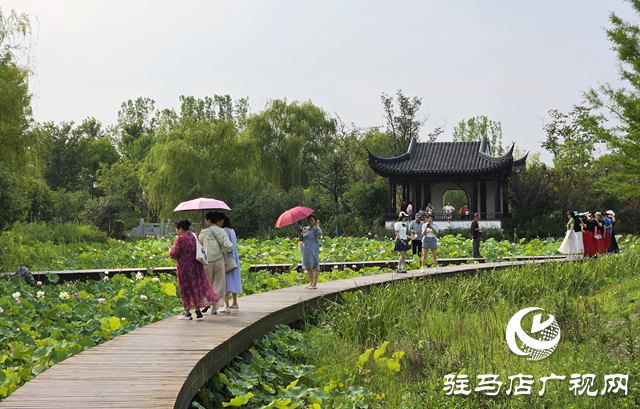 避暑首選！練江湖 置地公園為駐馬店市民送清涼