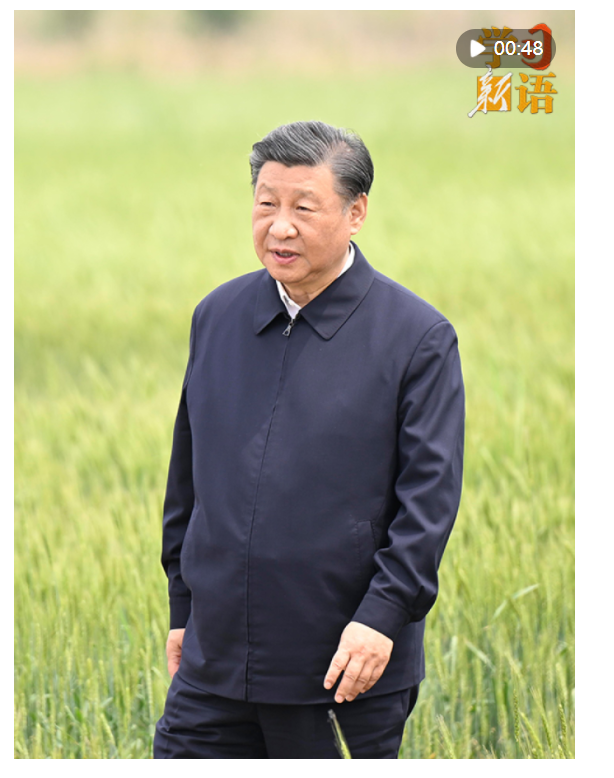 學(xué)習(xí)新語(yǔ)｜“耕地是糧食生產(chǎn)的命根子”