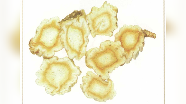 天中道地藥材——桔梗