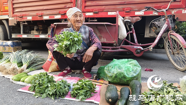 秤桿揚起的人間煙火 駐馬店濱河路大集詮釋滾燙生活氣息