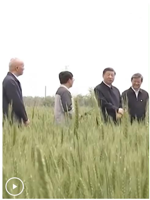 時(shí)習(xí)之丨采取“長(zhǎng)牙齒”的硬措施保護(hù)耕地