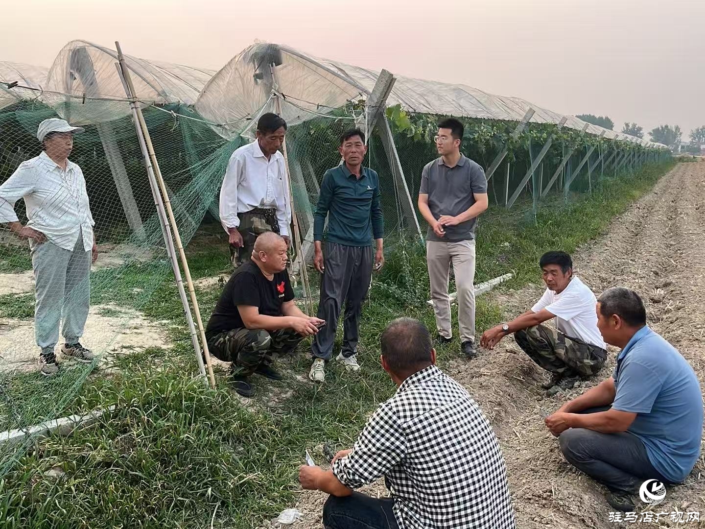 正陽縣寒凍鎮(zhèn):開通服務(wù)群眾熱線 打通基層治理最后一米