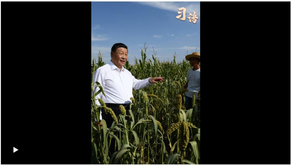 習語丨“中國人要把飯碗端在自己手里”