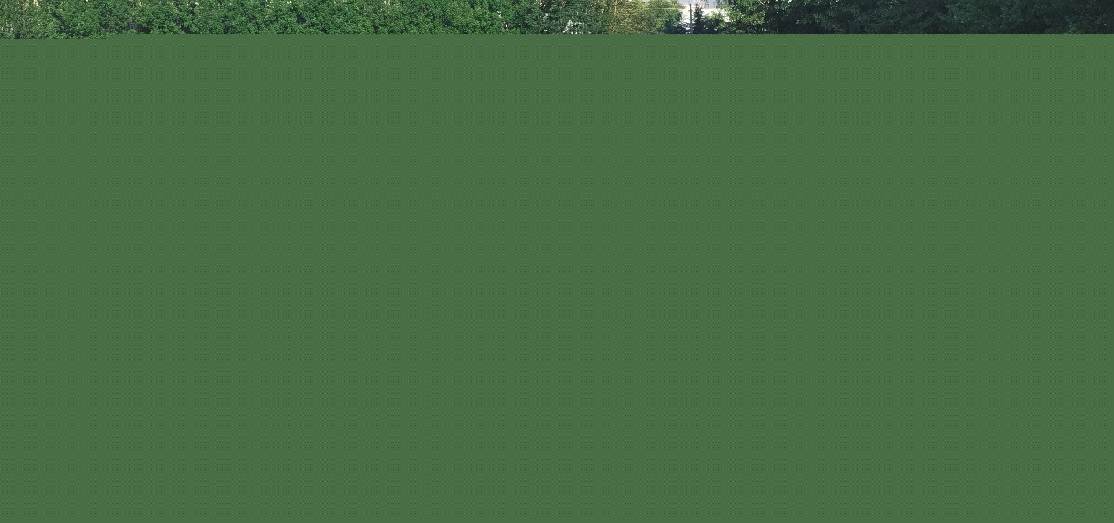 降雨期間芝麻田間管理技術(shù)