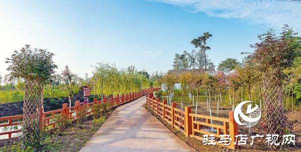 正陽新彭橋鄉(xiāng)大劉村：生態(tài)文明建設 構筑美麗鄉(xiāng)村