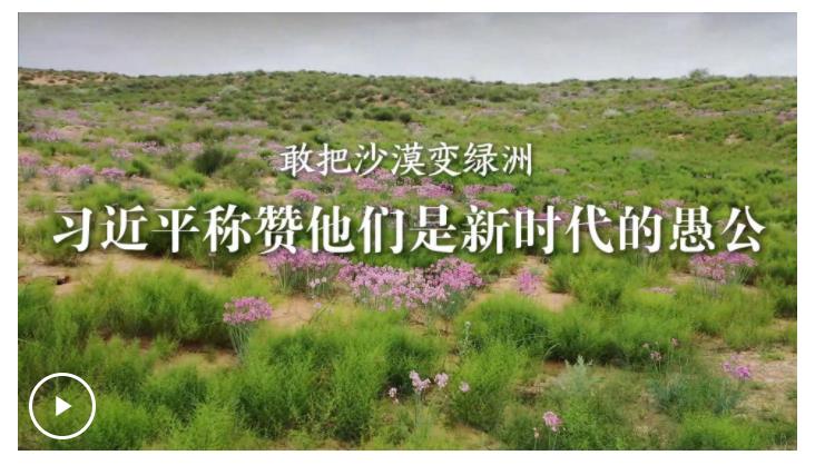 學(xué)習(xí)·故事丨敢把沙漠變綠洲 習(xí)近平稱贊他們是新時(shí)代的愚公