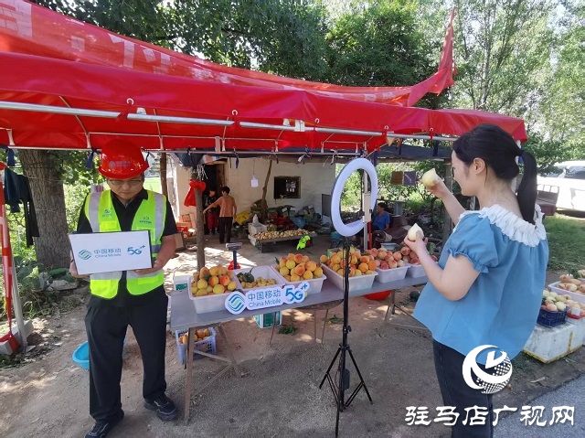 駐馬店移動(dòng)為桃農(nóng)提供優(yōu)質(zhì)網(wǎng)絡(luò)保障