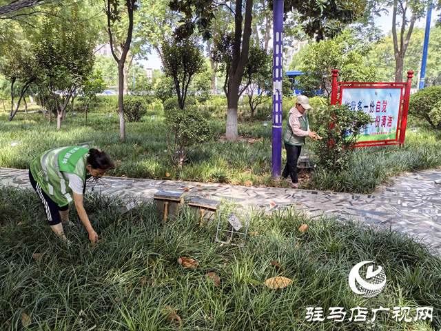 駐馬店經(jīng)濟開發(fā)區(qū)城市管理局：精細管理顯成效 清除雜草美環(huán)境