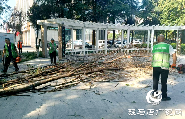 駐馬店經(jīng)濟開發(fā)區(qū)：伐除枯木“煥新顏”市民游園更“安心”