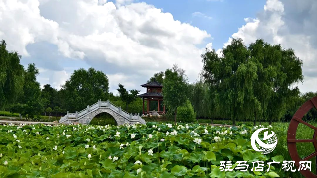 【大美天中】泌陽(yáng)現(xiàn)“水晶天”！漢風(fēng)古韻與湖光云影同框