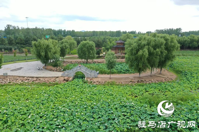 【大美天中】泌陽(yáng)現(xiàn)“水晶天”！漢風(fēng)古韻與湖光云影同框