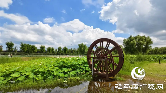 【大美天中】泌陽(yáng)現(xiàn)“水晶天”！漢風(fēng)古韻與湖光云影同框