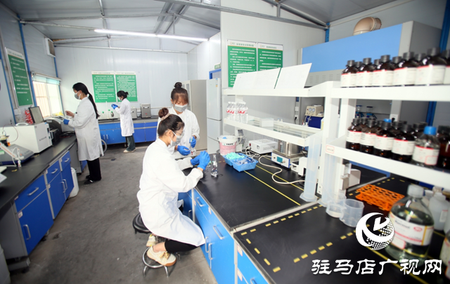 駐馬店高新區(qū)：科技賦能產(chǎn)業(yè)升級 創(chuàng)新引領(lǐng)經(jīng)濟騰飛