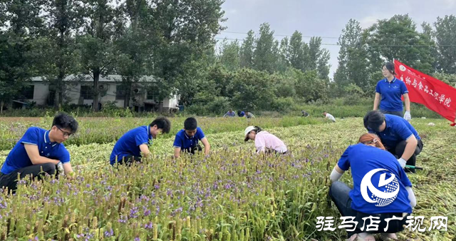 黃淮學(xué)院：以科創(chuàng)之力服務(wù)兩高四著力戰(zhàn)略 書寫新時(shí)代青春答卷