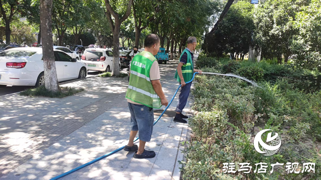  開發(fā)區(qū)城市管理局：全力打好“戰(zhàn)高溫 保綠蔭”攻堅(jiān)戰(zhàn) 守護(hù)城市綠色風(fēng)景線