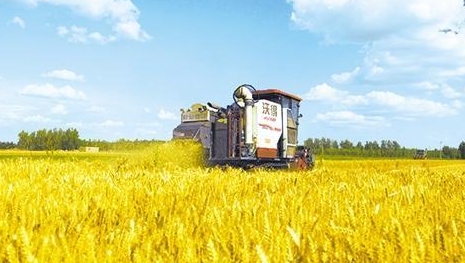 科技下田“三夏”新