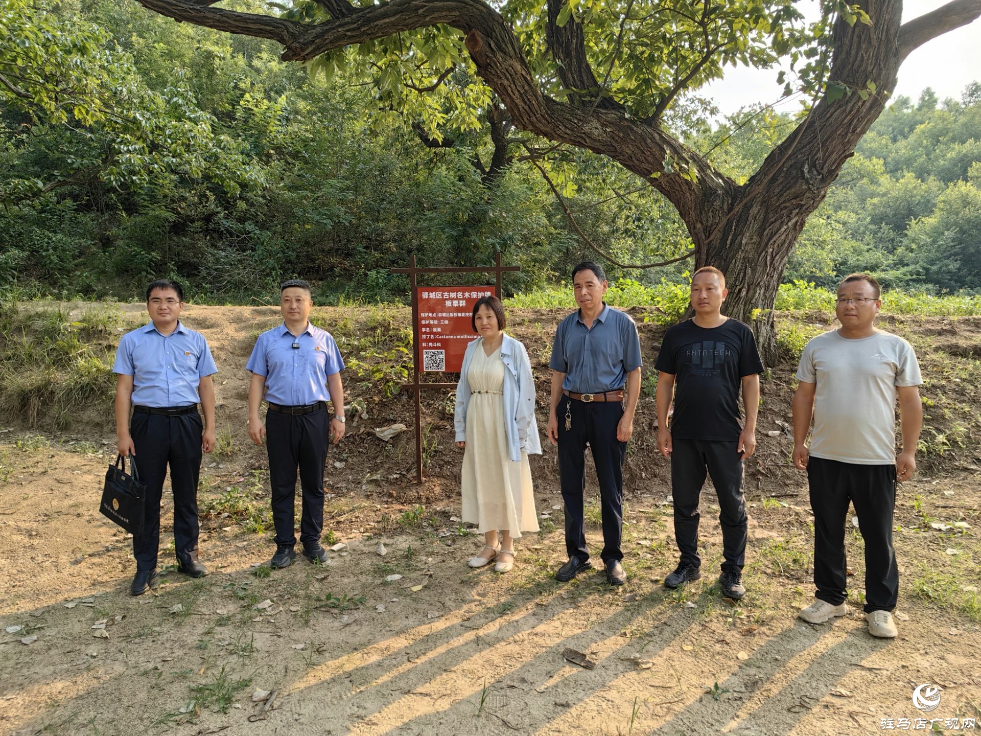 驛城檢察：守護(hù)驛城大地綠色的記憶