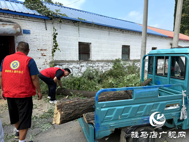 確山縣盤龍街道：砍除“危樹”除隱患 社區(qū)出手解民憂