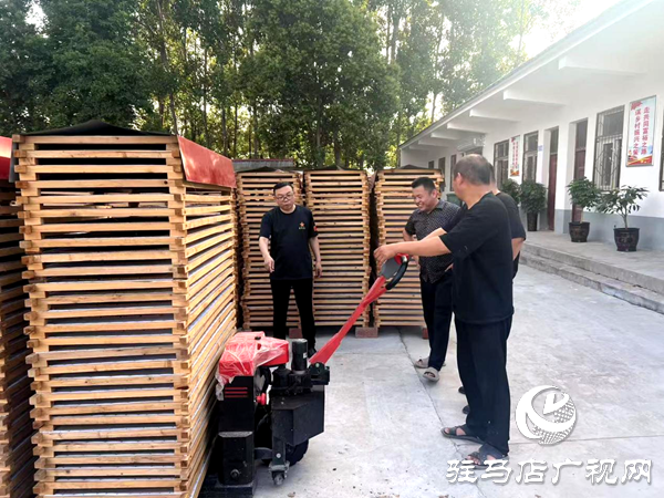 平輿縣射橋鎮(zhèn)：親臨企業(yè)問需求  精準(zhǔn)助力煥新機