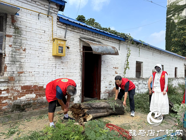 確山縣盤龍街道：砍除“危樹”除隱患 社區(qū)出手解民憂
