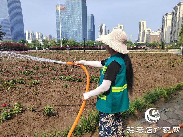 高溫炙烤大地 園林工人用汗水守護(hù)城市綠蔭