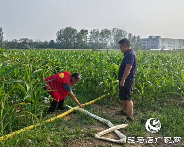 驛城區(qū)關(guān)王廟鄉(xiāng):抗旱保秋 全力守護(hù)“糧袋子”