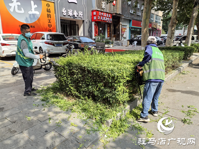  開發(fā)區(qū)城市管理局：全力打好“戰(zhàn)高溫 保綠蔭”攻堅(jiān)戰(zhàn) 守護(hù)城市綠色風(fēng)景線