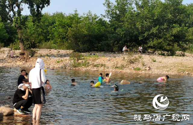 泌陽孫灣河變身避暑天堂 親子游玩熱度飆升