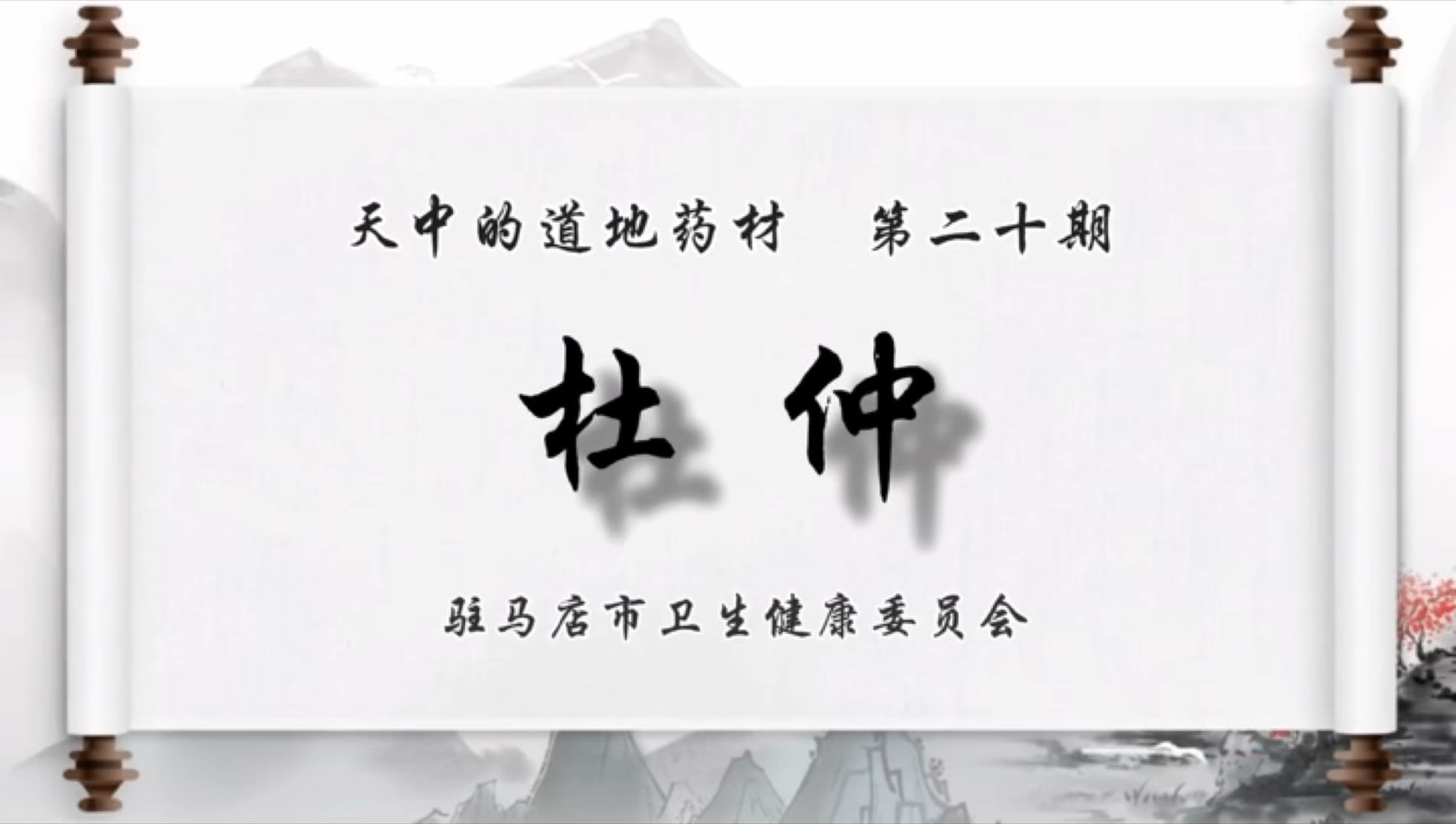 天中的道地藥材——杜仲