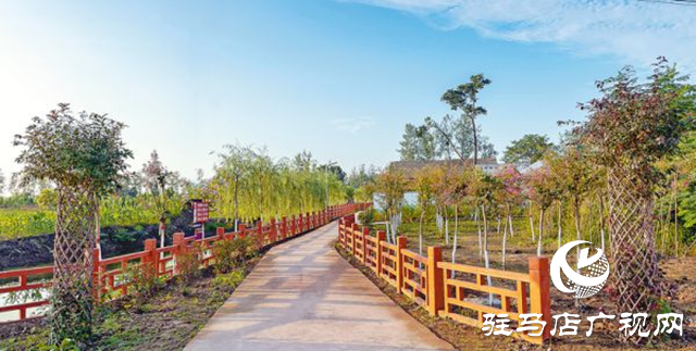 正陽縣彭橋鄉(xiāng)大劉村：文明鄉(xiāng)風(fēng)鑄就“國字號”金招牌