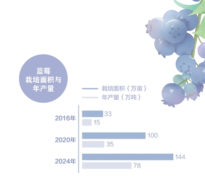 消費(fèi)者“甜”了，果農(nóng)有賺頭嗎？