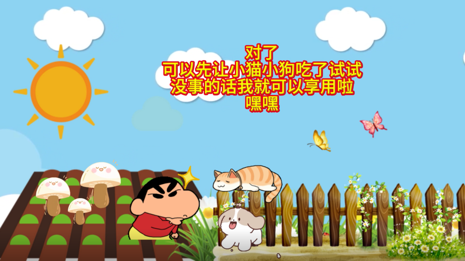 讓動(dòng)物吃野生蘑菇試毒靠譜嗎？