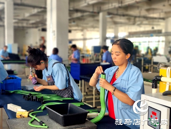 平輿縣“三園”引擎：三鏈共舞，托起強縣富民新圖景
