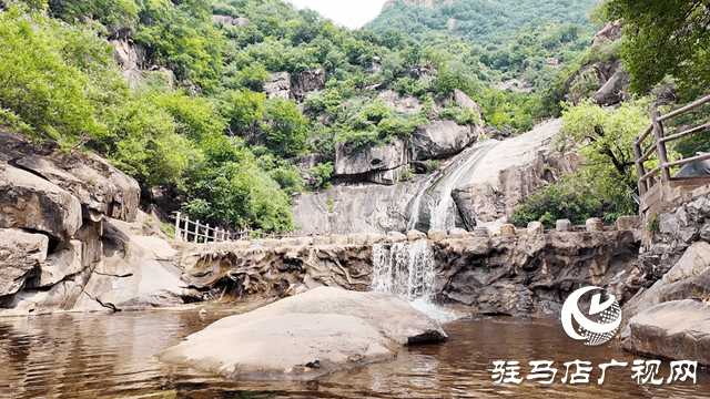 大暑時(shí)節(jié)：于熱浪中尋一份清涼詩意