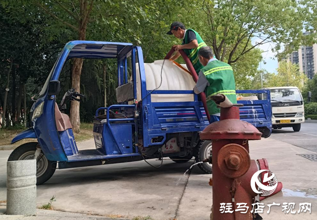 驛城區(qū)：抗旱澆水不停歇 精灌細護保綠忙