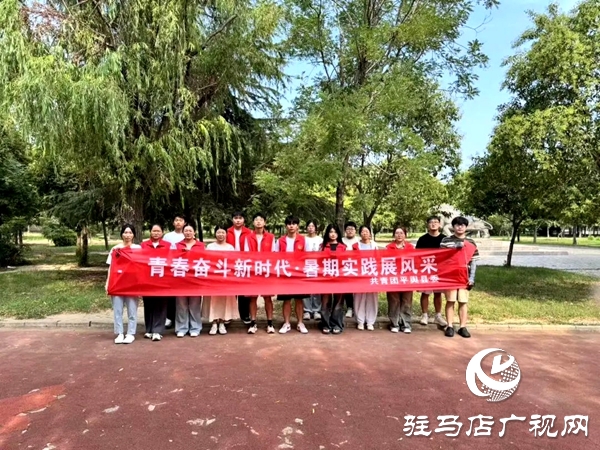 共青團平輿縣委“青春奮斗新時代·暑期實踐展風(fēng)采”系列活動（一）