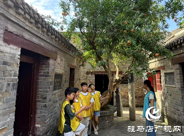 確山縣婦聯(lián)開(kāi)展2025年暑期兒童關(guān)愛(ài)服務(wù)活動(dòng)
