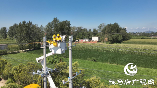 國(guó)網(wǎng)確山縣供電公司:進(jìn)行帶電接火作業(yè) 確保線路不停電